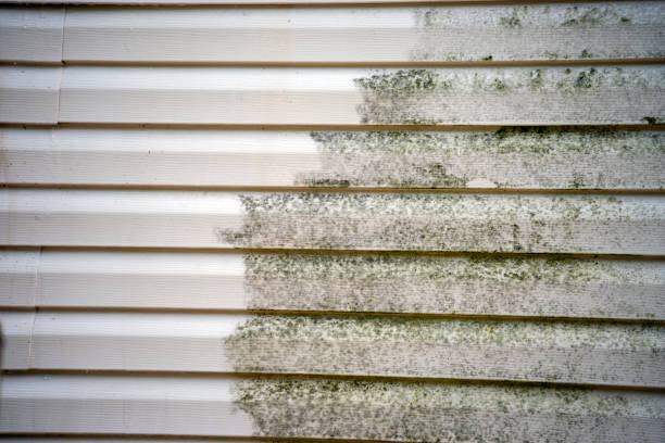 Best Furniture Removal  in Eufaula, OK